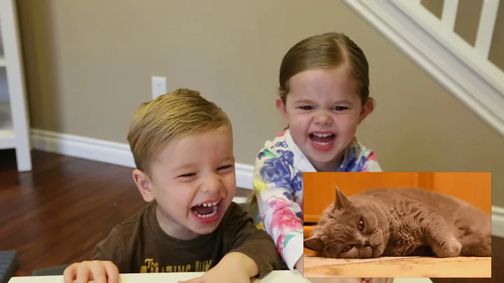 CLAIRE AND CARSON GET INTRODUCED TO CAT VIDEOS!!