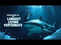 The Mystery of the 400 Year Old Greenland Shark | Secrets of Earth’s Longest Living Vertebrate