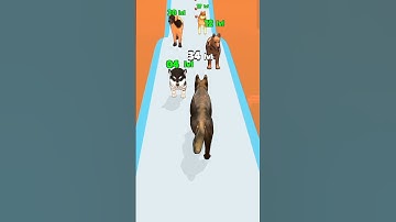 DOGGY RUN GAMEPLAY WALKTHROUGH 🐕🥰 | DOG SWEET 😸 | ANDROID, iOS MOBILE | NEW UPDATE #SHORTS GAMES