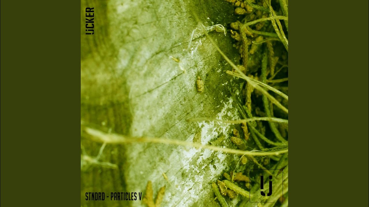 Regardez Nullvoid sur YouTube Regardez Nullvoid sur YouTube