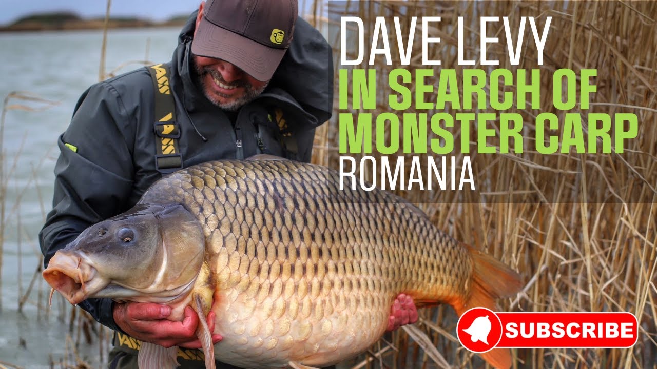 In Search of Monster Carp | Romania