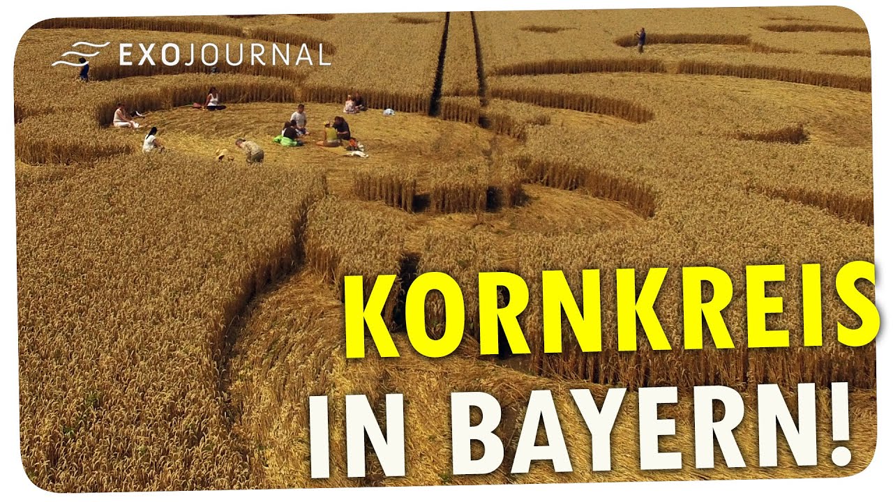 Kornkreis-Alarm in Bayern - mal wieder! |  ExoJournal
