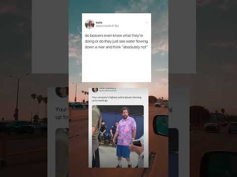 MEMES : PART 116 #memes #shorts #trending #viralshorts #viral #1m #xavier #youtubeshorts #legend