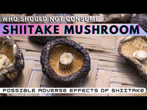 Shiitake mushroom Allergy symptoms | Intolerance | side effects | Dosage of Shiitake