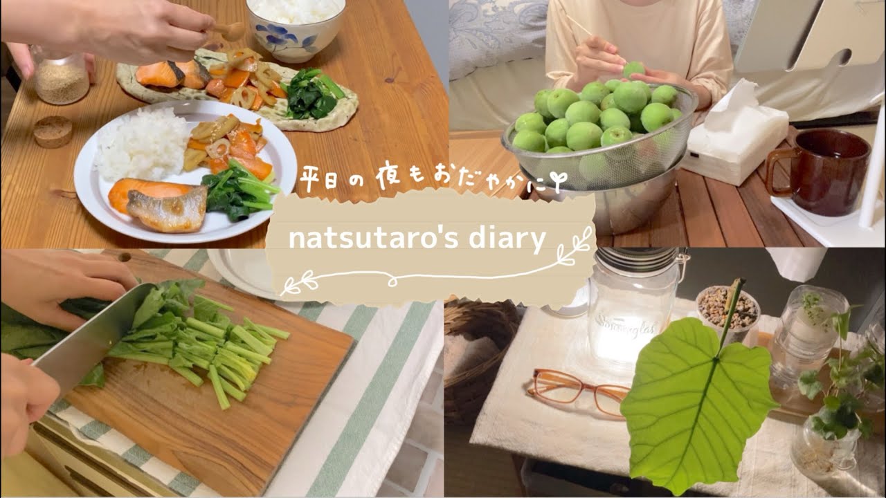 【暮らしの音】家事の時間と自分の時間をほどよく過ごす平日の夜🌃🌙