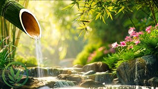 Relaxing Music for Stress Relief with Bird sound, Relaxing Piano, Relax Your Mind, Healing the Mind.