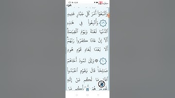 سورة هود صفحة (٢٢٨)