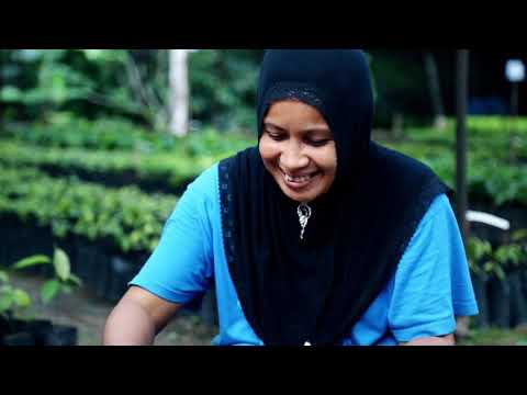 Saving the Forests with TRCRC - video from TRCRC
