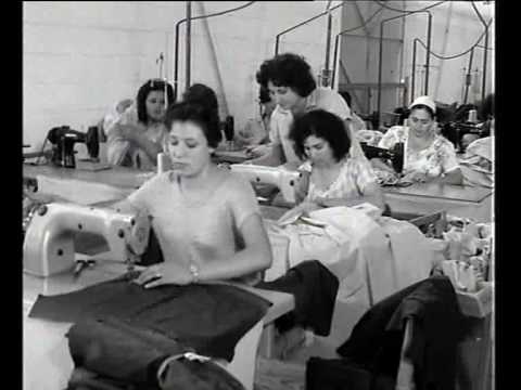 דימונה 1962 נתן גרוס 