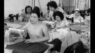 דימונה 1962 - נתן גרוס