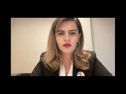 SMEDA - მეწარმეთა შესახებ ახალი კანონის მნიშვნელოვანი ასპექტები