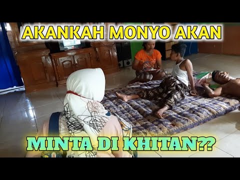 Video: Psikolog Atau Vino?