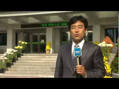 2014.11.17 (월) 5시 이브닝뉴스 대구경북