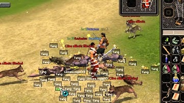 Hacker Metin2.RO Corvus 2013