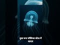 "क्या सच में ये जेलीफ़िश कभी नहीं मरती? | अमर जेलीफ़िश का रहस्य | Immortal Jellyfish