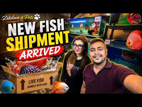 🚨 NEW FISH SHIPMENT HAS ARRIVED! 🐟🔥 | ZAKILOVE & PETS