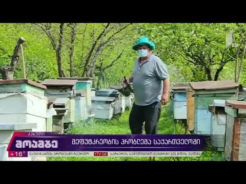 მეფუტკრეობის პრობლემა საქართველოში