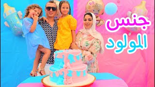 اكبر حفلة معرفة جنس المولود في العالم (ندي واحمد )