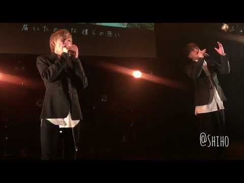 『ヒマワリ/ANFiNY』　2019/01/19 ANFiNY 1st LIVE HOUSE TOUR ～Beginning of history～  in club asia