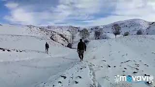 Salo Ferma, Bati Patrone Patridge Hunting With Kurzhaar.