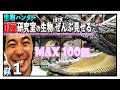 生物ハンター加藤英明【開設】MAX100種飼育研究室公開。爬虫類ワニ・カミツキガメ・トカゲ…魚類ピラニア・肺魚・ガー・…どうぶつ骨格イノシシ・カモシカ…マンモス化石#あつまれ#おうち#勉強#いきもの