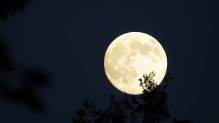 Super Moon 8-9-2014