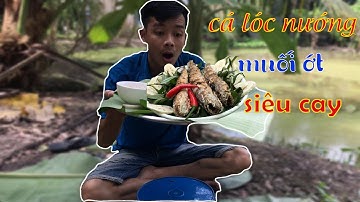 Cá Lóc Nướng Muối Ớt Siêu Cay | Khánh68 Vlog