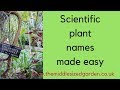 Comment comprendre les noms latins des plantes  et pourquoi nous en avons besoin