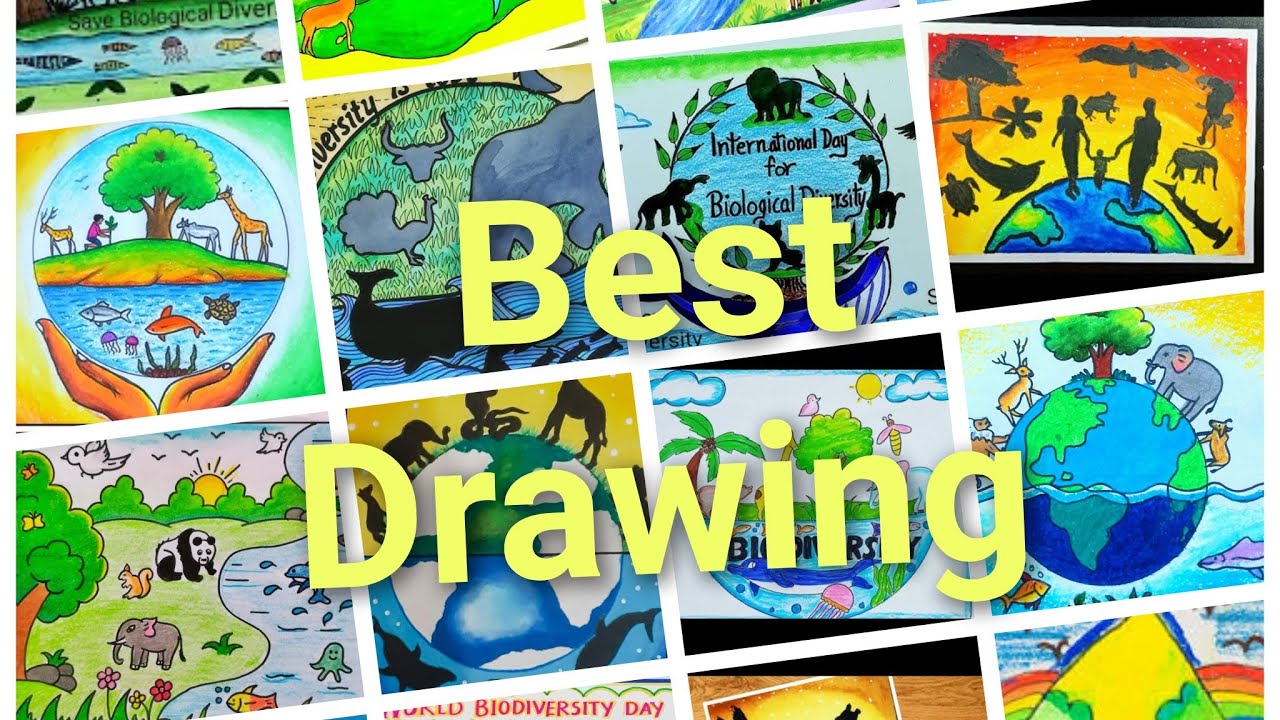 World Biodiversity Day Drawing / World Biodiversity Day Poster / Biodiversity Day Drawing Easy