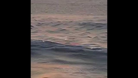 The Best of ModelScope Text to Video Synthesis