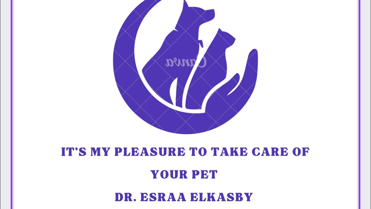 علامات البلوغ في الكلاب ( ح ٢٠ )