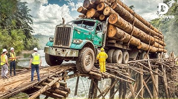INSANE Logging Truck Driving Skills | Oversize Timber Loads & Fastest Chainsaw Machines!