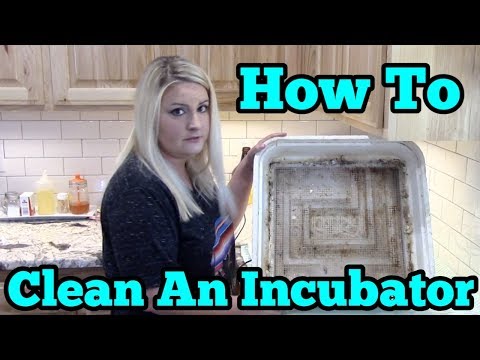 How To Clean And Sanitize An Styrofoam Incubator