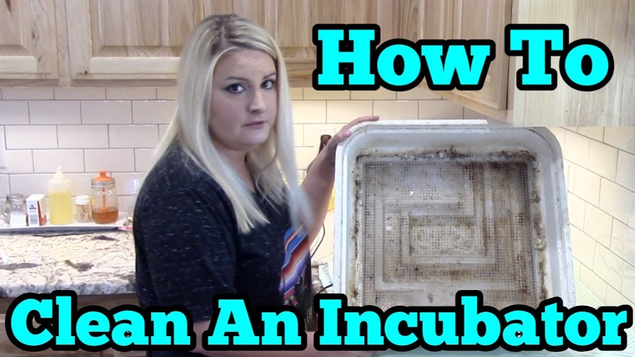 How To Clean And Sanitize An Styrofoam Incubator