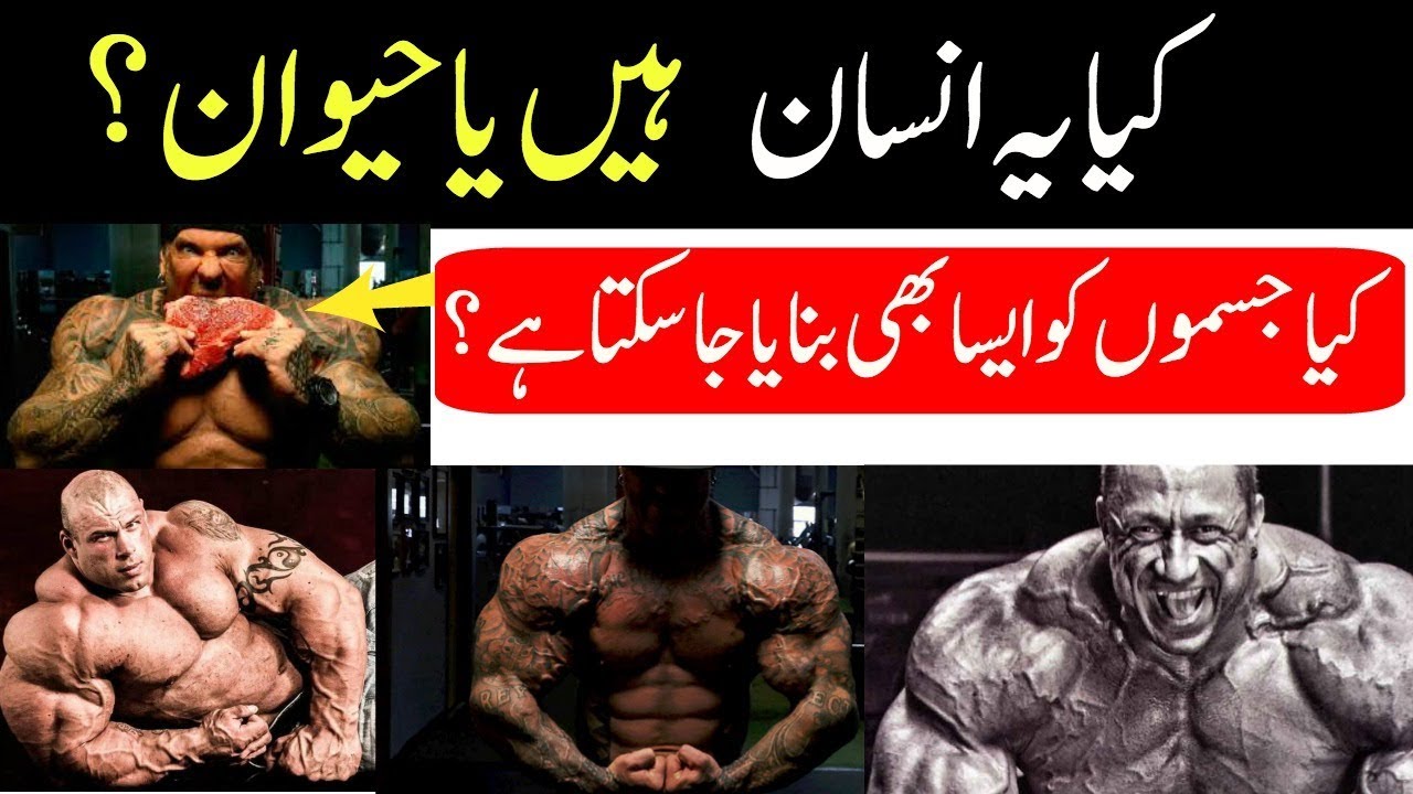 10 Unbelieveable Body Builders Urdu/Hindi YouTube