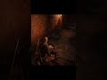 RDR2 BBQ and buckshots
