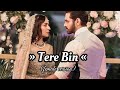 Tere Bin OST Female Version | Yumna Zaidi I Wahaj Ali #song #lyrics#trending#viral#slowandreverb