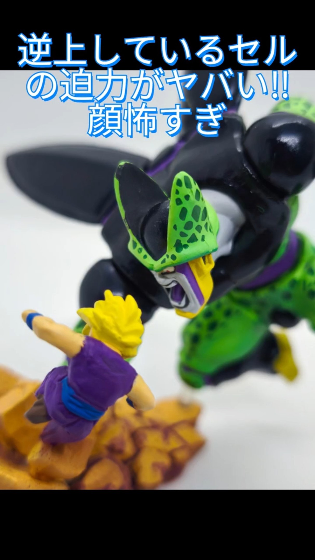 【値下げ不可】ドラカプ 崩された完全体！　帰ってきたセル編 ドラゴンボールカプセルネオ ドラカプ 帰ってきたセル編 崩され