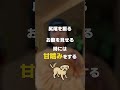 #子育て #イライラしない子育て #イヤイヤ期 #切り抜き #子育てに関して #不登校 #子どもの発達 #自己肯定感