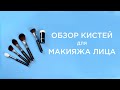 Кисти для макияжа лица. Какую выбрать?