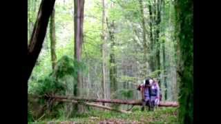 Tribute To Arthur Merlin Final