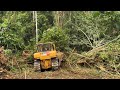 Cat d6r xl bulldozer is very powerful pushing big wood
