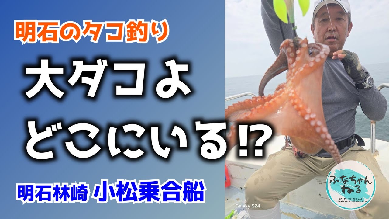 【明石タコ釣り】シーズン終盤戦！大型狙いで挑むもまさかの激渋…