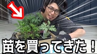 【むねお農園】お買い物編！