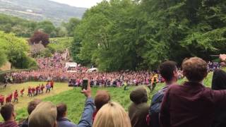 Cheese Rolling 2016, Cooper's Hill, Brockworth, Gloucestershire