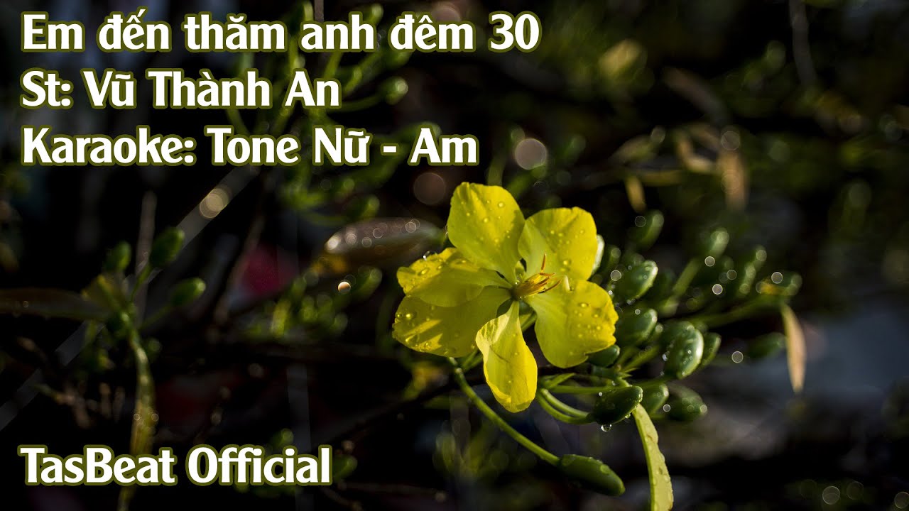 Karaoke Em Đến Thăm Anh Đêm 30 - Tone Nữ | TAS BEAT