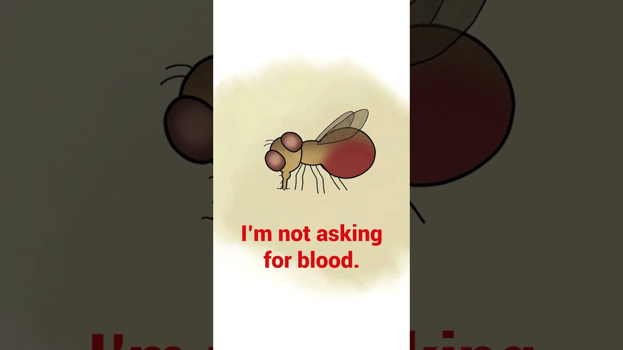 Would You Buy Me a Coffee? ☕❤️ 