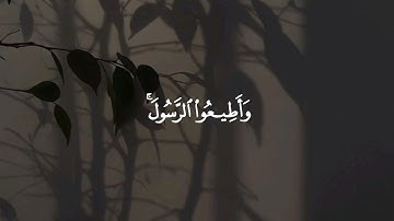 وَأَطِيعُواْ ٱللَّهَ وَأَطِيعُواْ ٱلرَّسُولَۚ 🌷 #سورة_التغابن #طارق_محمد 
