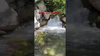 Body Emerged From Water