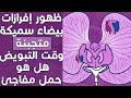 ظهور إفرازات بيضاء سميكة ومتجبنة وقت التبويض هل تدل على خروج البويضة وهل هي علامة على الحمل المبكر